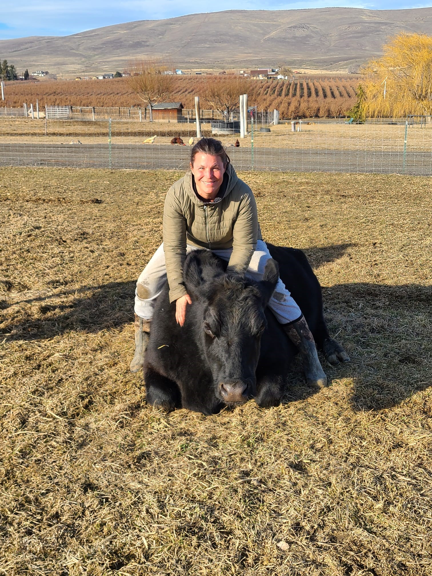 Garibay Ranch grass fed beef Yakima Washington