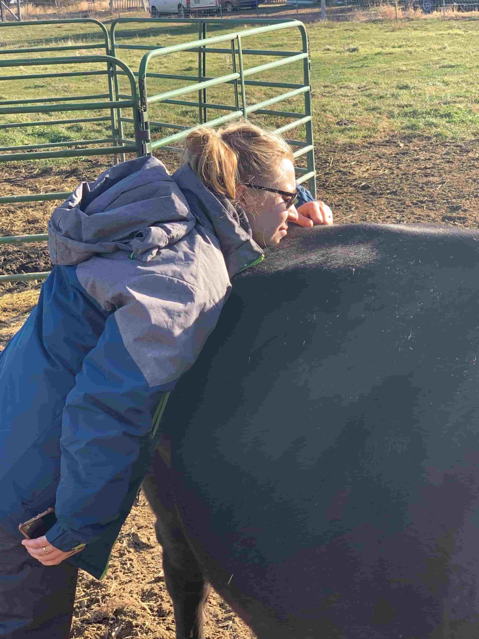 Garibay Ranch GrassFed Beef Yakima Washington