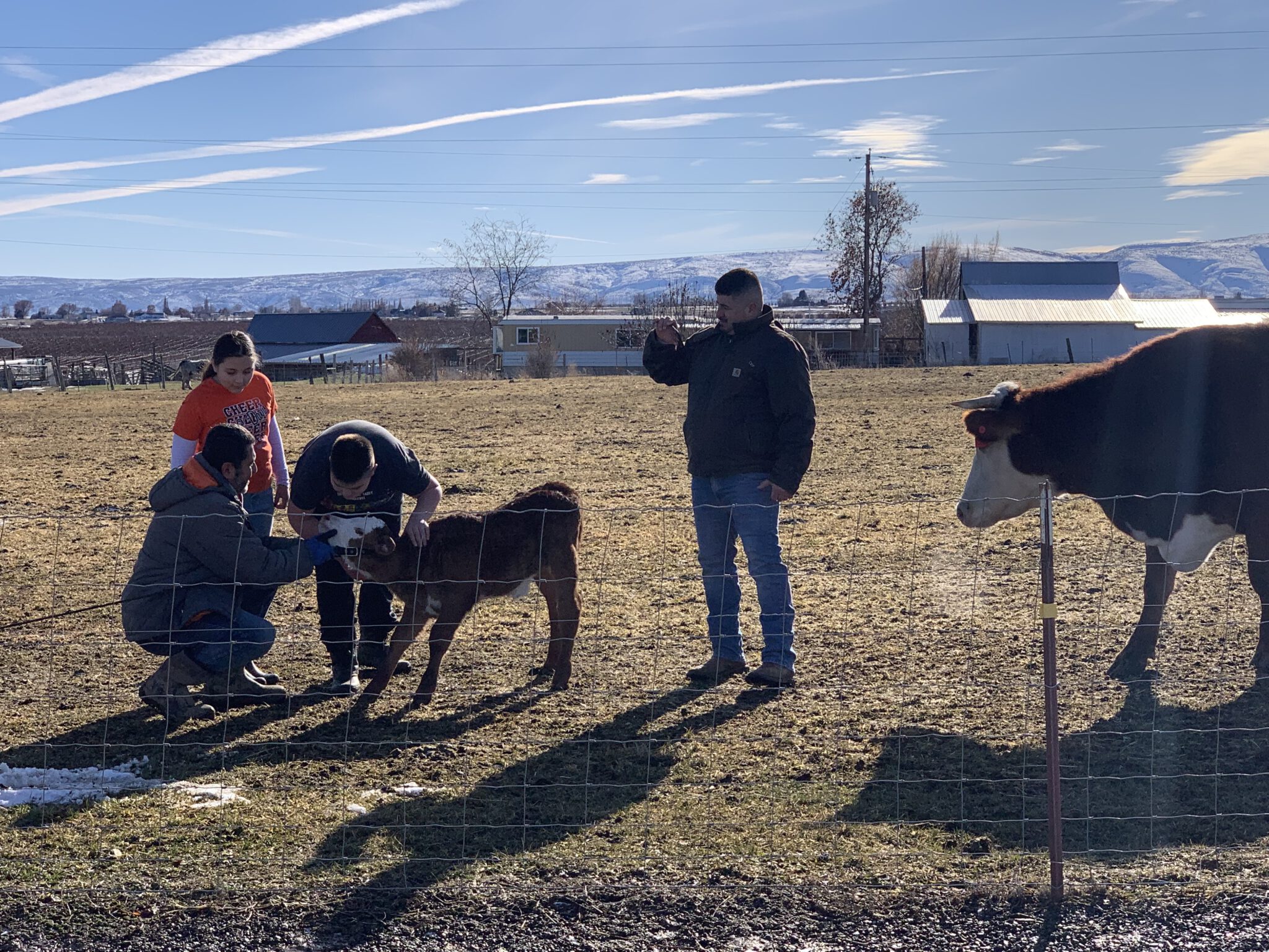 Garibay Ranch GrassFed Beef Yakima Washington