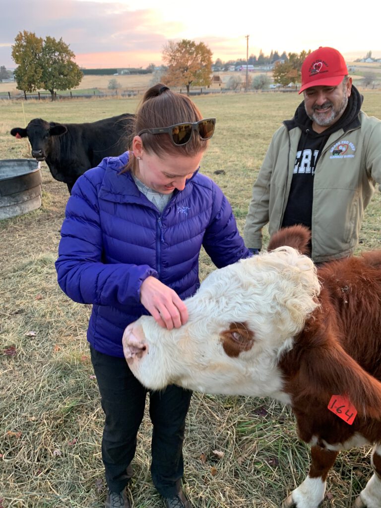 Garibay Ranch GrassFed Beef Yakima Washington